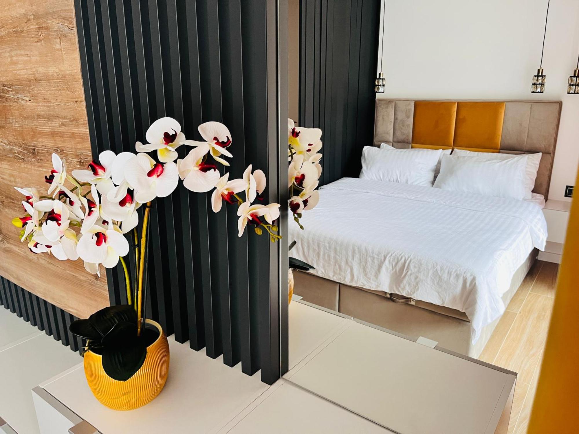 Apartment Drahan 35